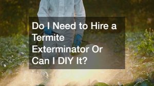 Do I Need to Hire a Termite Exterminator Or Can I DIY It?