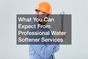 What You Can Expect From Professional Water Softener Services